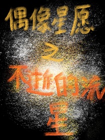 偶像星愿：不逝的流星-d875