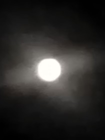 小花仙黑與白