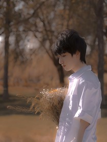 无法重圆