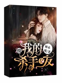 我的傻杀手女友