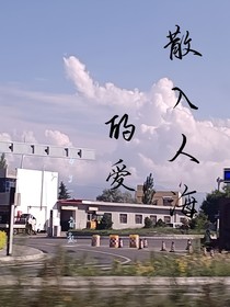 散入人海的爱