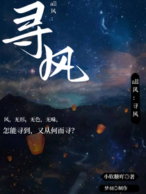 all风：寻风