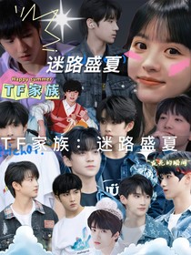 TF家族：迷路盛夏
