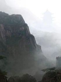 渡沧