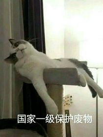 TNT：狗蛋系统爱坑爹