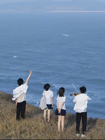 夏恋蝉鸣