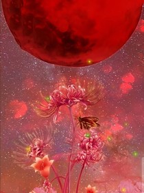 月下彼岸花
