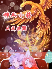 神兵小将——凤凰涅槃