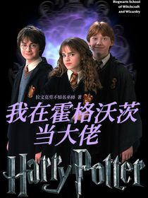 HP：我在霍格沃茨当大佬