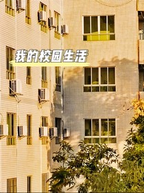 高考后的我们