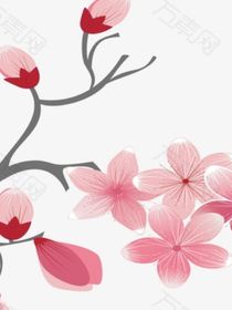 落樱成殇
