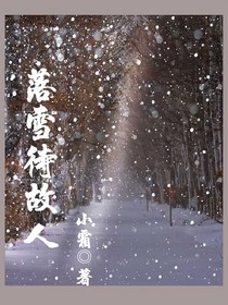 落雪待故人