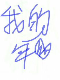 我的一年