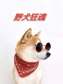 野犬狂魂