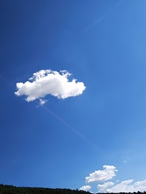 鸦雀无声的世界