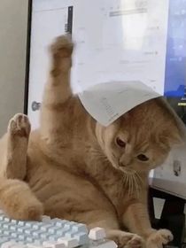亡命之徒缺根筋