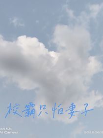 校霸只怕妻子