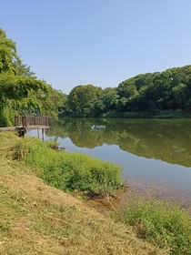 陳情令之知意