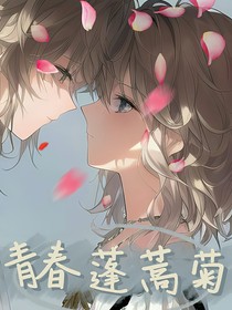 青春蓬蒿菊