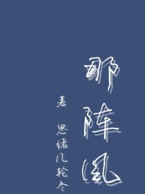 阵阵风