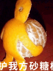 半匹角馬