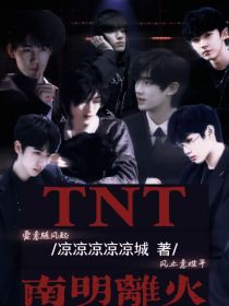 TNT：南明离火