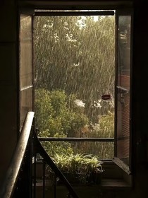 秋，雨，