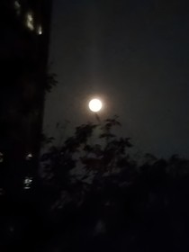 栖合
