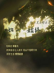 如一始终-d599