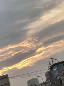 祺鑫——玫瑰救赎