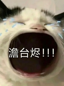 杨咩de小说文案