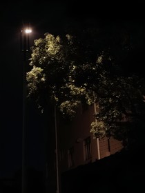 為你奏響盛夏
