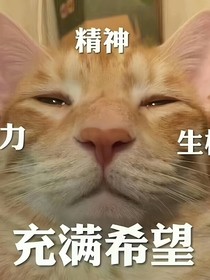 失落的真相