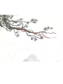 替妹出嫁：霸道總裁寵愛(ài)我