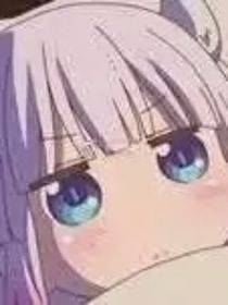 雷狮X金