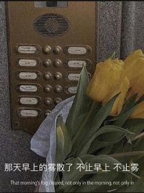 随笔文案馆