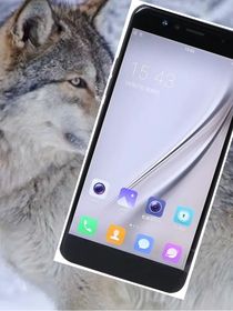 狼王梦沙雕群聊
