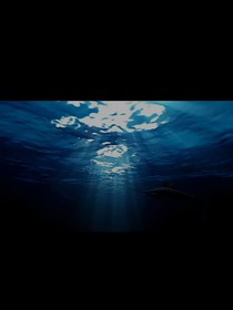 掉入深海的一颗星