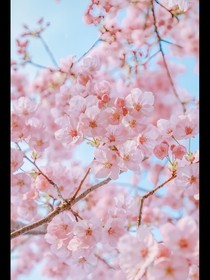 超變戰(zhàn)陀之三大世界（雜文）