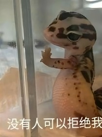 佑的沙雕小文集