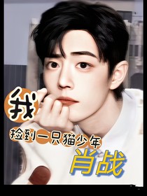 我捡到一只猫少年肖战