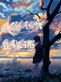 山茶不懂白玫瑰