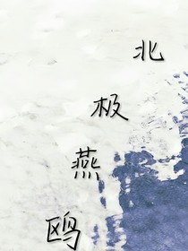 燕鸥