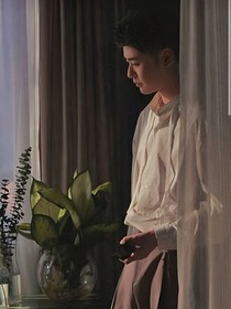 快穿全明星：万人迷粉丝无数