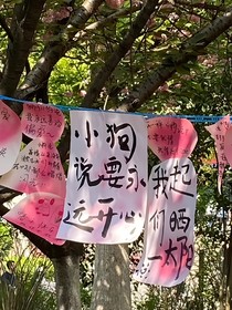 販賣(mài)文案書(shū)