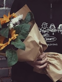志極或極志：荒野薔薇