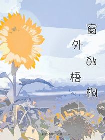 窗户外的梧桐树