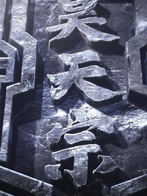昊天之唐羽惊鸿