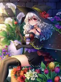 离笙……图片铺