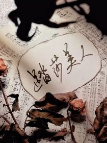 练字（头像背景水印字章题字）